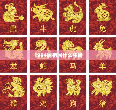 1994五行属什么|1994出生属什么生肖查询，1994多大年龄，1994今年几岁